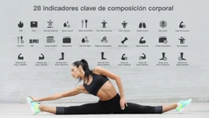 Informe Body Pro Go v2
